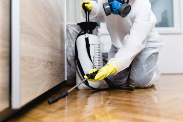 Best Rat Extermination Near Me  in Gramercy, LA