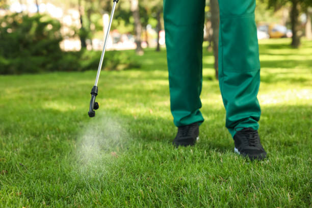 Best Wasp Removal Services  in Gramercy, LA