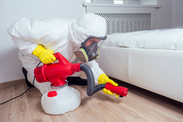Best Affordable Pest Control Services  in Gramercy, LA