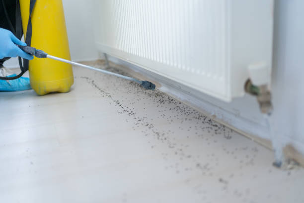 Reliable Gramercy, LA Pest Control Solutions